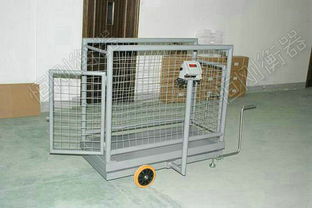 高原放養(yǎng)牦牛可移動牲畜秤 精準(zhǔn)稱重助力畜牧業(yè)發(fā)展