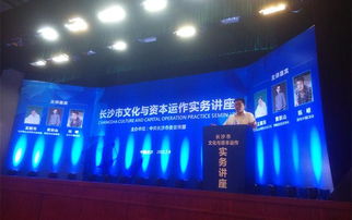 專家論道長沙 文化資本融合，借力新三板與互聯網共舞