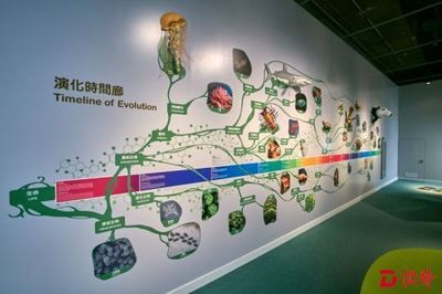 香港科學館新推生物多樣性展廳 開啟奇妙自然探索之旅